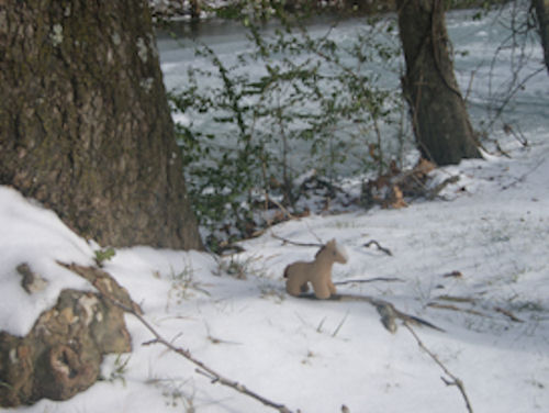 thumbnail of Alvie in the snow