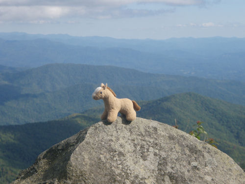 thumbnail of Alvie on the mountain