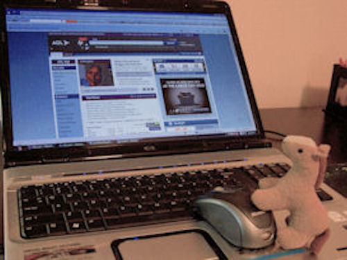 big image of Alvie Surfing the Web