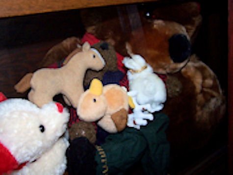 thumbnail of Alvie in the toy store